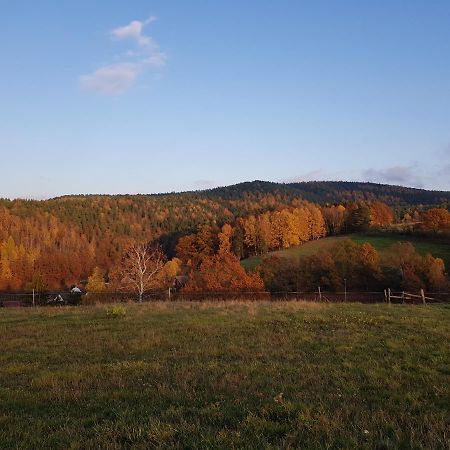 Ferienwohnung Bonndorf Wasungen Exteriör bild