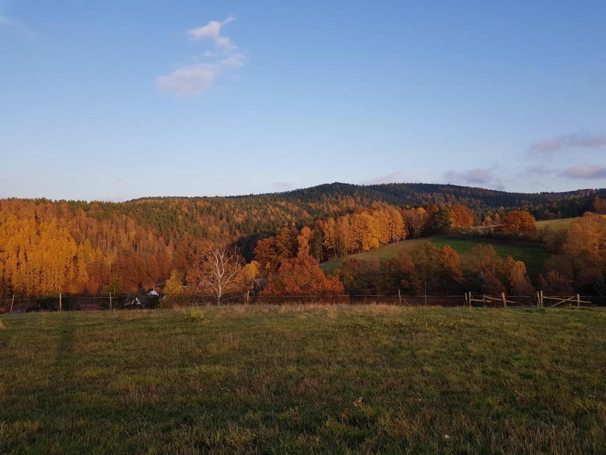 Ferienwohnung Bonndorf Wasungen Exteriör bild